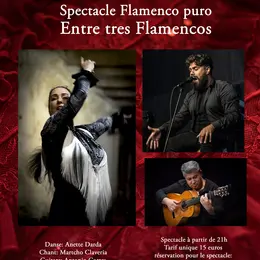 Entre Tres Flamencos – Spectacle Flamenco Puro