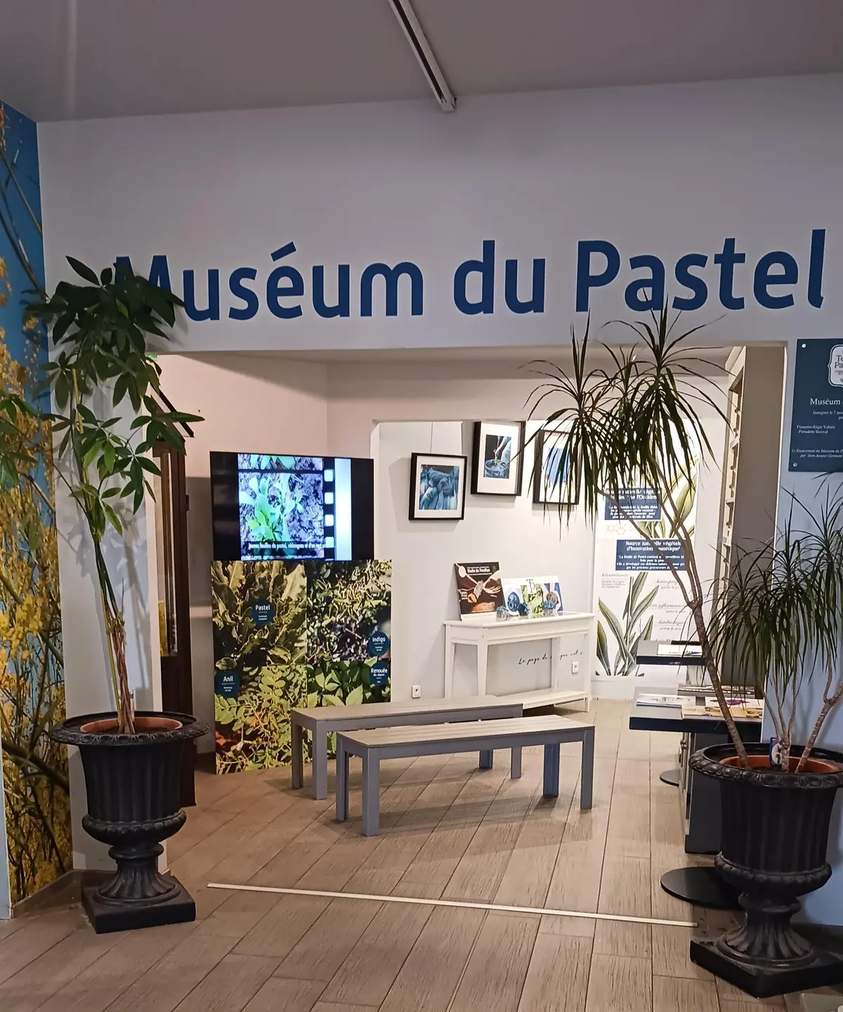 Entrée Au Muséum Du Pastel Gratuite
