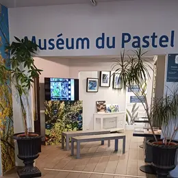 Entrée Au Muséum Du Pastel Gratuite