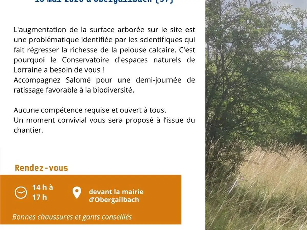 Entretien d'une pelouse calcaire