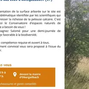 Entretien d'une pelouse calcaire