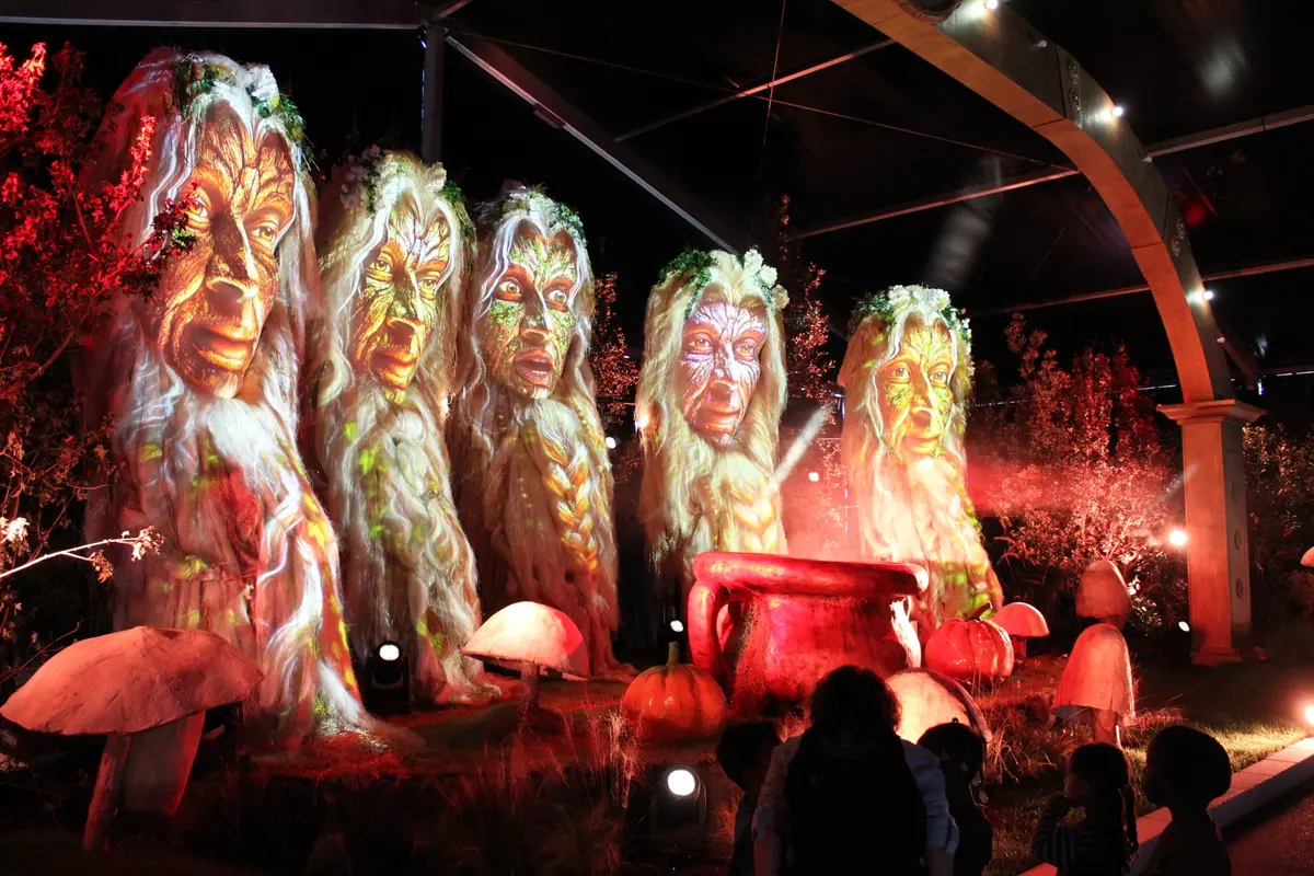 Envie de bouger &agrave; Mulhouse ce week-end (9-11 octobre 2026) ? Voici 4 id&eacute;es de sorties