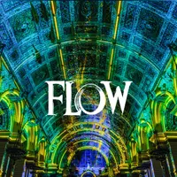 Eonarium FLOW : un spectacle lumineux immersif au Palais de la Bourse DR