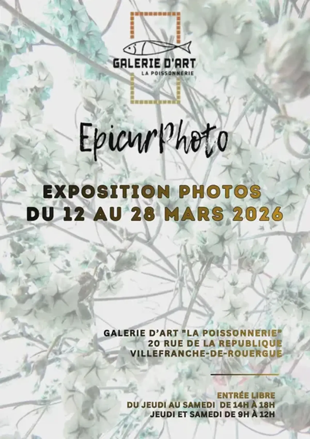 Epicurphoto à la galerie d'art la Poissonnerie