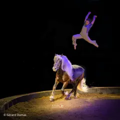 Épinal bouge l'été - Spectacle de carton et de coeur