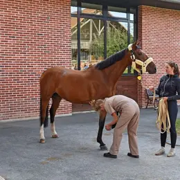 [Équidays] Visite de Normandie Equine Vallée