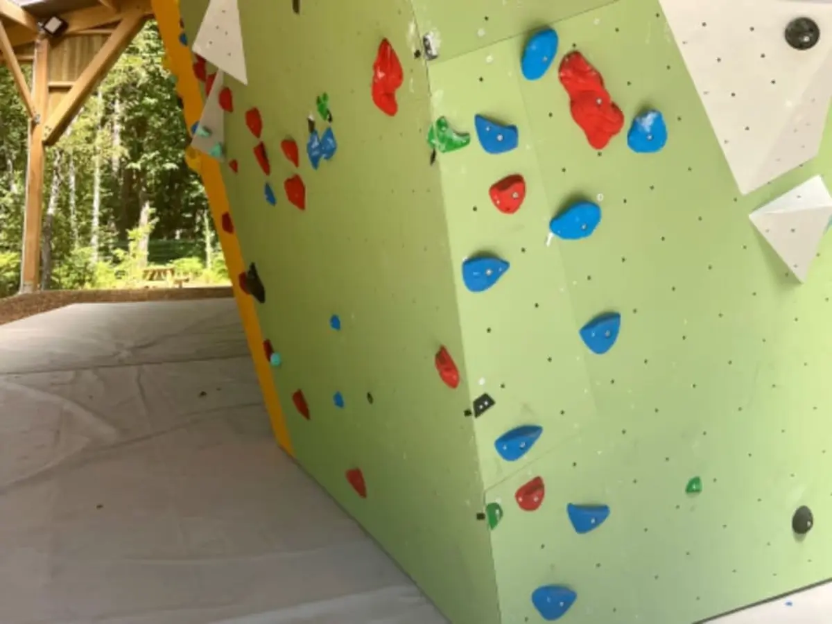 Escalade de bloc en forêt à Bruyères-le-Châtel (91)