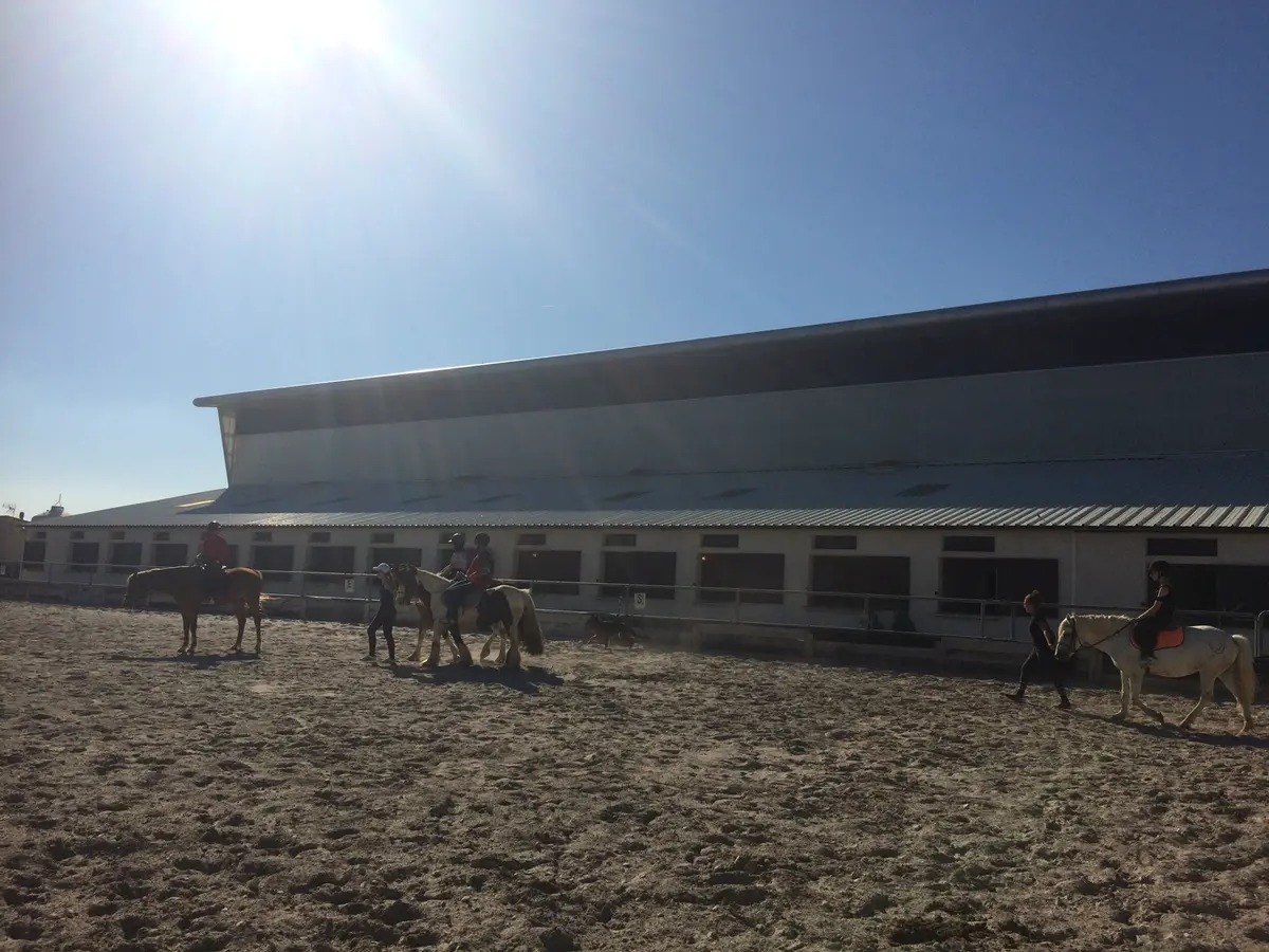 Escales automnales : Balade à cheval