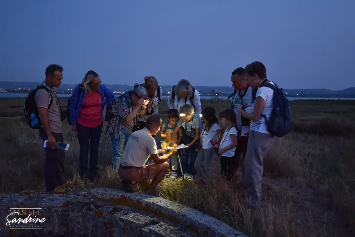 Escales Patrimoine : Randonnées à la frontale et observation des étoiles