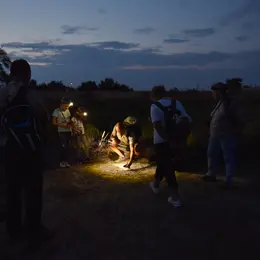 Escales Patrimoine : Randonnées à la frontale et observation des étoiles