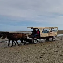 Escapade en calèche