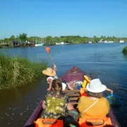 Escapade en galupe dans le Delta de Leyre