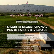 Escapade gourmande au cœur des vignes