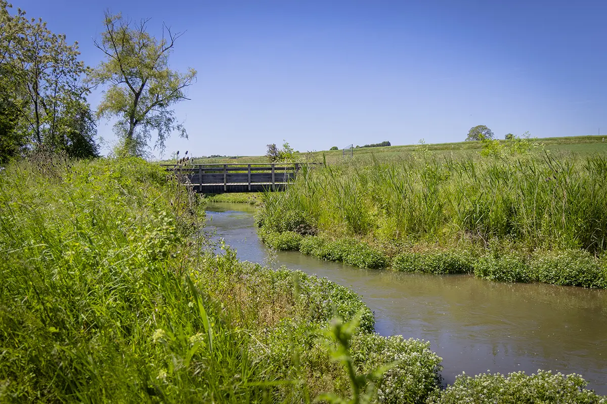 Escapade Nature & Géants