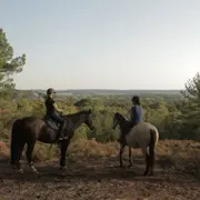 Escapade privée à cheval en forêt dans les Yvelines (78)