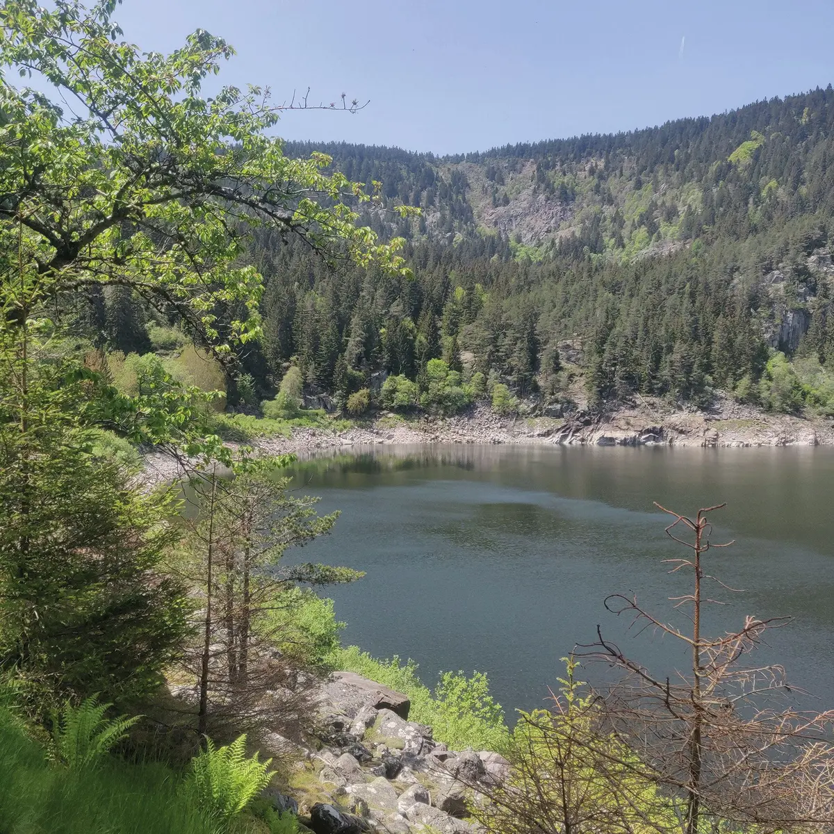 Escapade vosgienne : La rando des Trois Lacs
