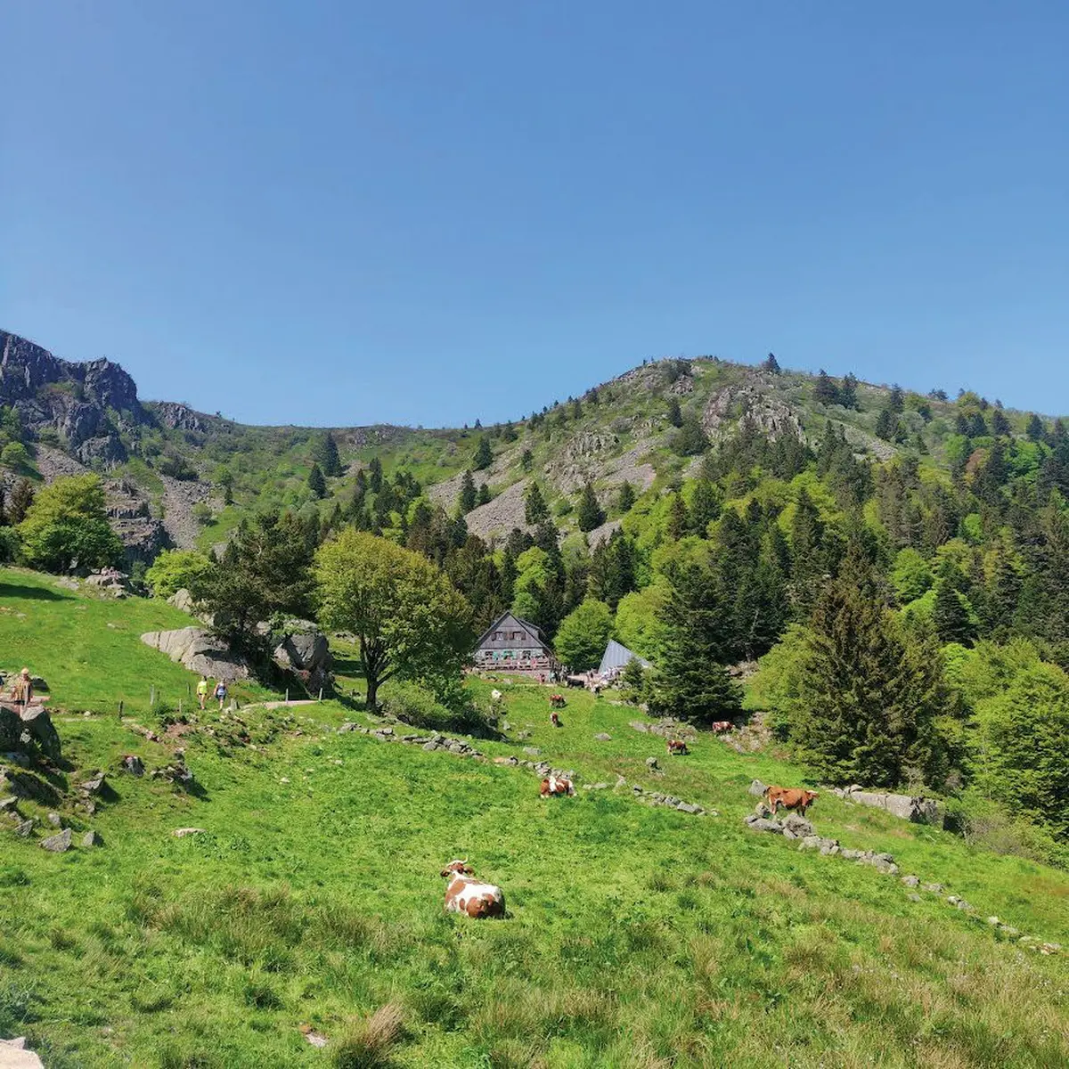 Escapade vosgienne : La rando des Trois Lacs