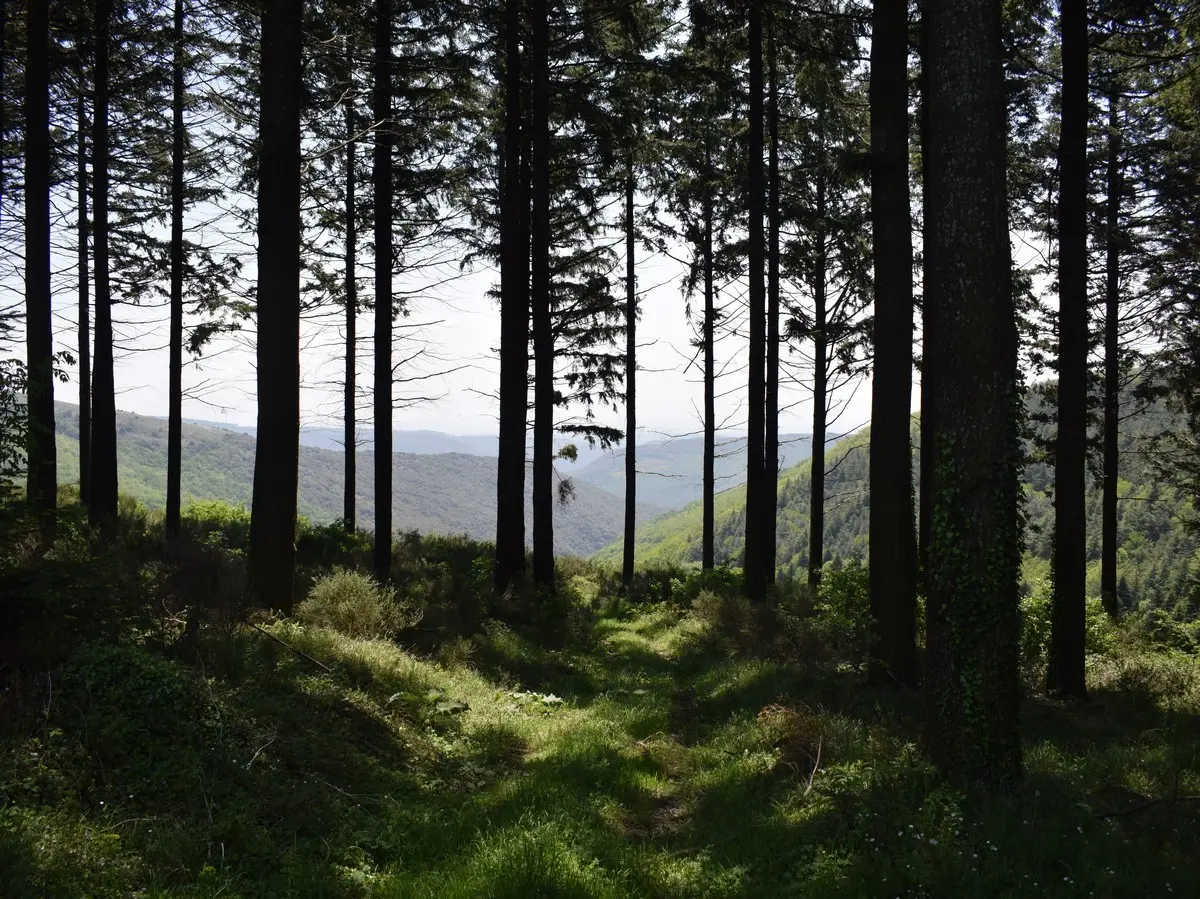 Escapades En Montagne Noire - Les Martys N°10