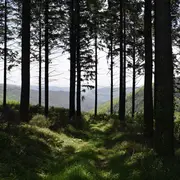 Escapades En Montagne Noire - Les Martys N°9