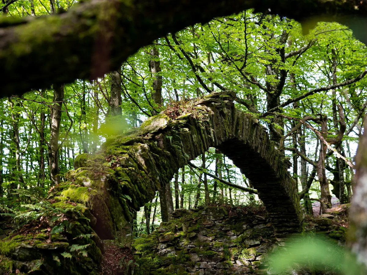 Escapades En Montagne Noire - Pradelles-Cabardès N°7