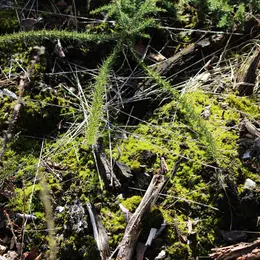 Escapades Nature : Les plantes carnivores