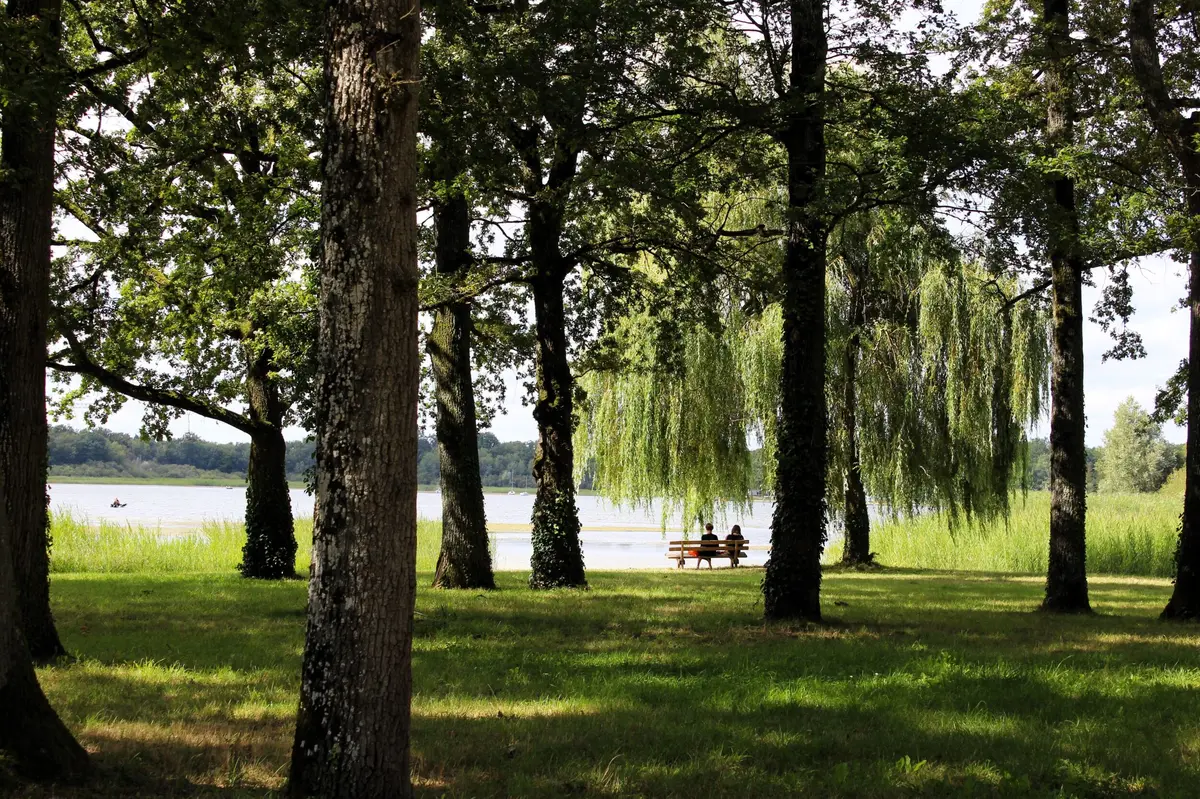 Escapades nature : mardi soir au bord de l'eau