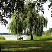 Escapades nature : Richesses naturelles de l’étang