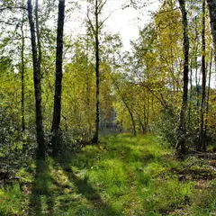 Escapades Nature : sortie photo