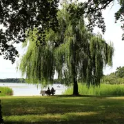 Escapades nature : Voyageurs d’ici et d’ailleurs