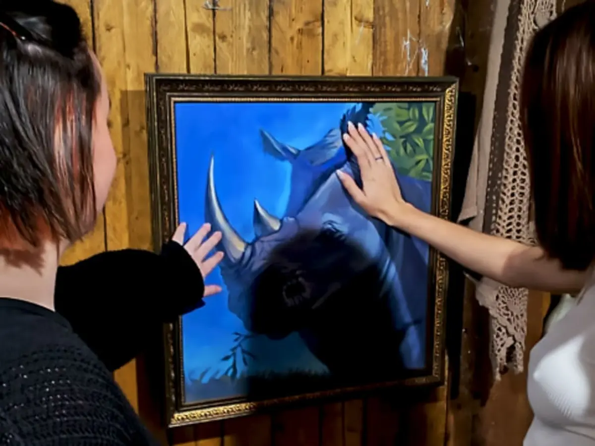 Escape Game A l'épreuve de la jungle à Deauville (14)