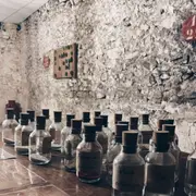 Escape Game A la recherche de la cuvée perdue à Luc-sur-Orbieu