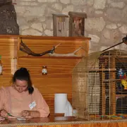 Escape game à Terres d'Oiseaux