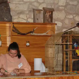 Escape game à Terres d'Oiseaux