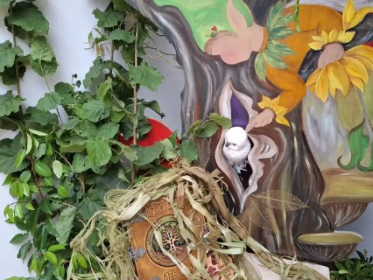 Escape Game enfant Pacifix à Abbeville (80)