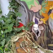 Escape Game enfant Pacifix à Abbeville (80)