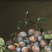 Escape Game familial Le coffre de la Comtesse au musée Jeanne d'Aboville