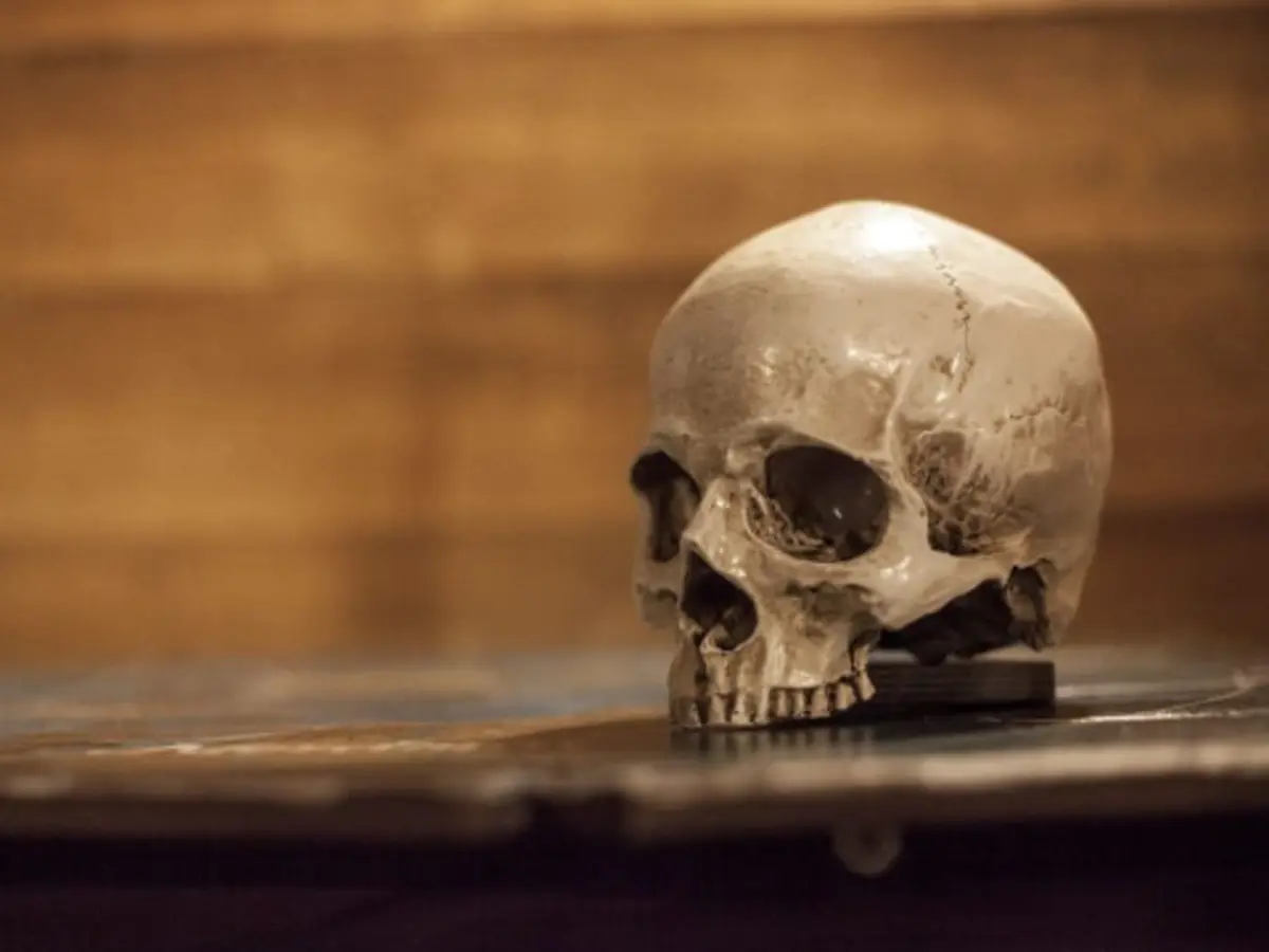 Escape Game L'âme pirate à Mougins (06)