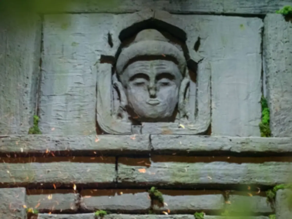 Escape Game La Jungle à Paris 20ème