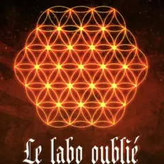Escape Game  Le Labo oublié à Caen (14)