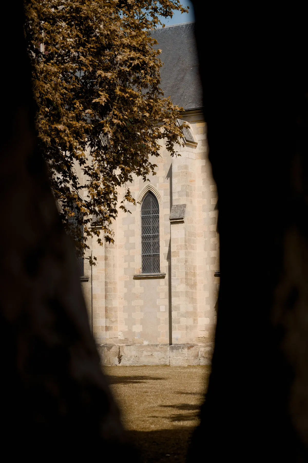 Escape game : Les secrets de la pigne d'or