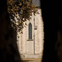Escape game : Les secrets de la pigne d'or