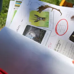 Escape game nature à Terres d'Oiseaux