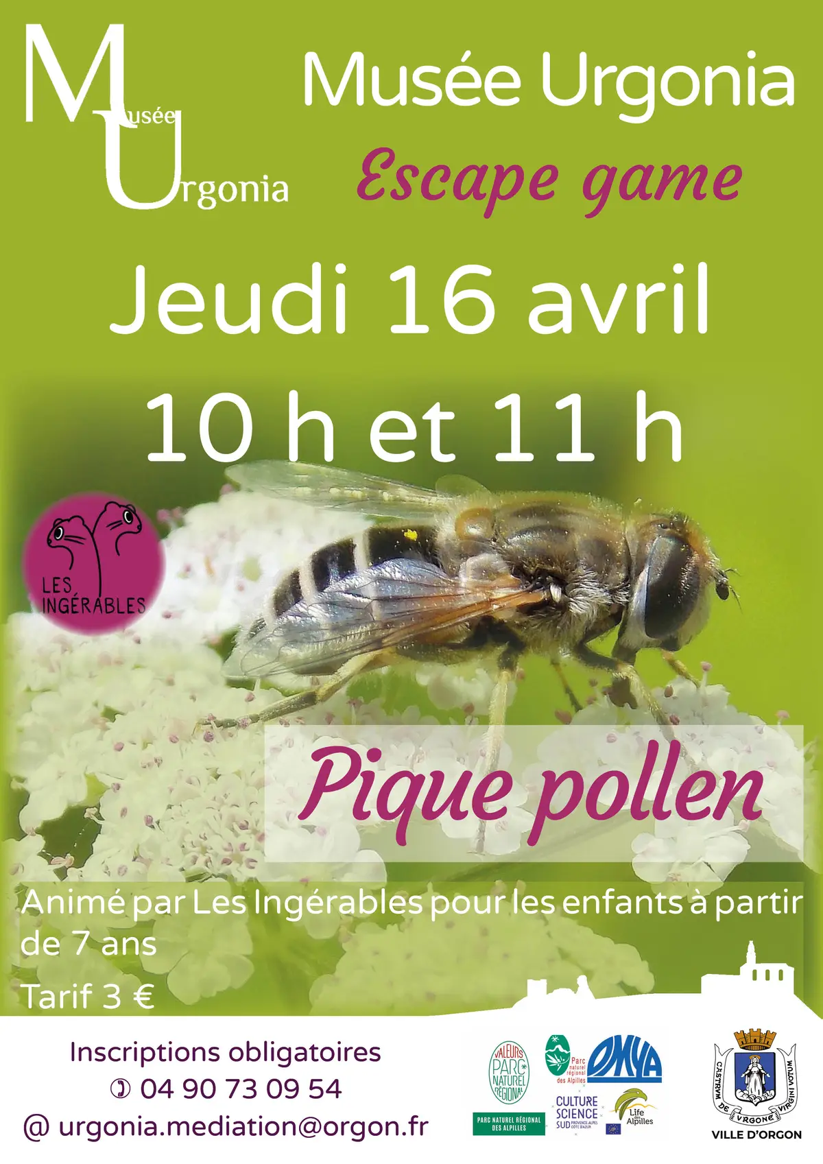 « Escape game pique pollen »