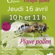 « Escape game pique pollen »