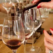 Escape Game Wine gaming à Bourges (18)