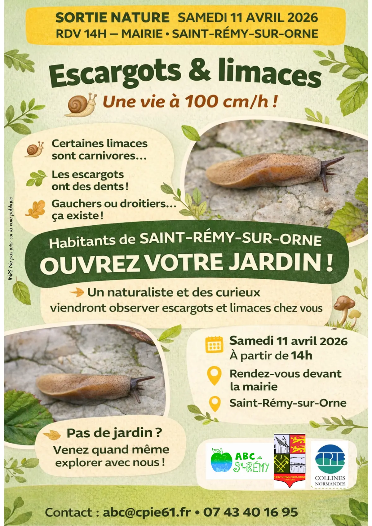 Escargots & limaces : une vie à 100 cm/h !