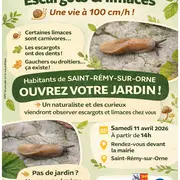 Escargots & limaces : une vie à 100 cm/h !
