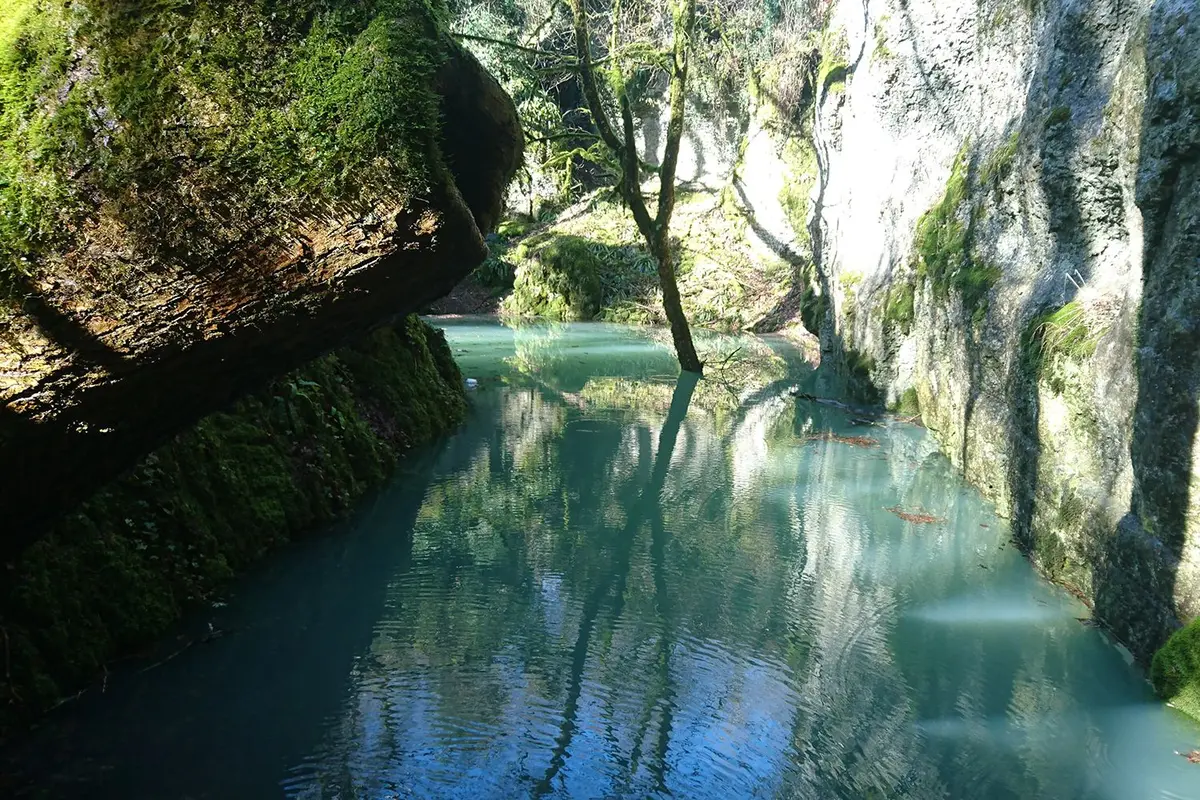 Espaces naturels des Marais de Saône