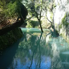 Espaces naturels des Marais de Saône
