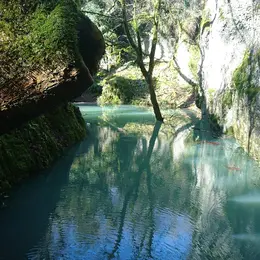 Espaces naturels des Marais de Saône
